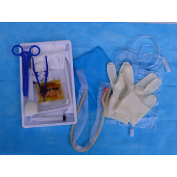 Disposable Urinary Catheterization Bag